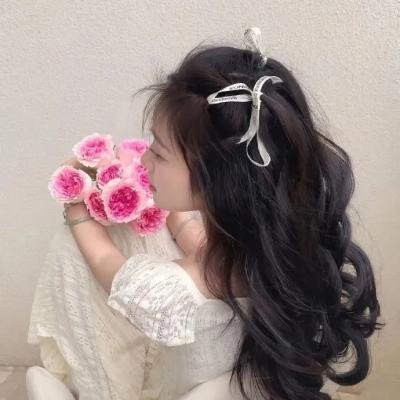 陆行鲨